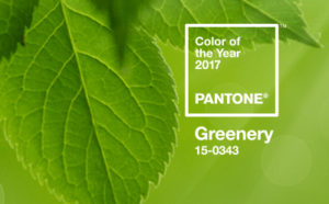 greenery, color of the year 2017