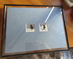 needlepoint cats in glass frame