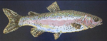 elizabeth bradley rainbow trout needlepoint