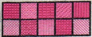 needlepoint for beginners stitch sampler project designed by janet perry