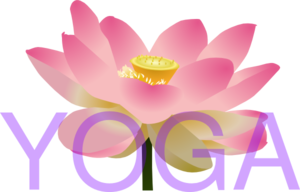 lotus flower yoga